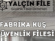 yalçın file