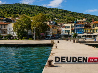 mudanya